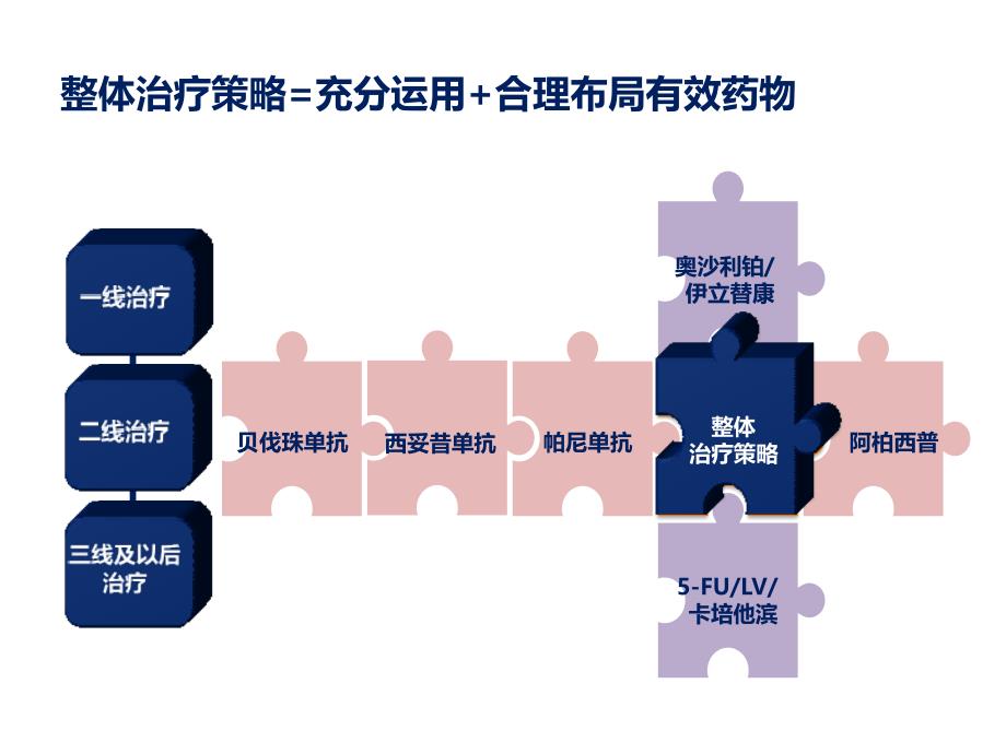 转移性结直肠癌mCRC姑息治疗策略_第3页