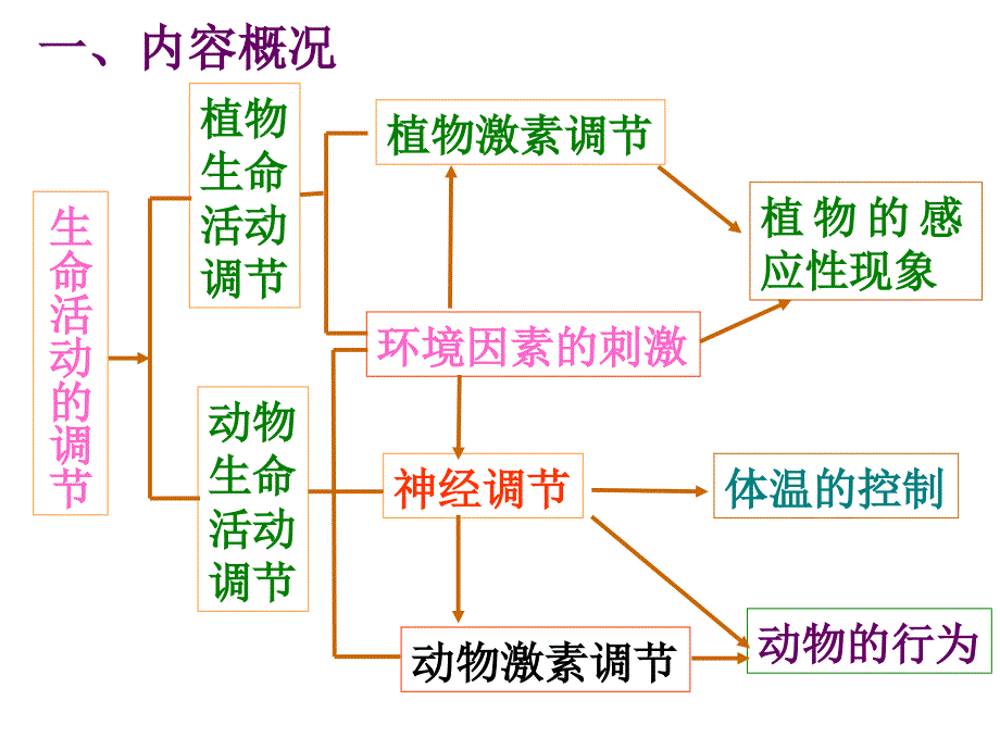 生物生命活动的调节_第2页