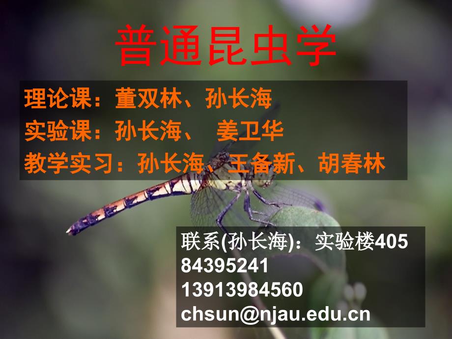 普通昆虫学课件_第2页