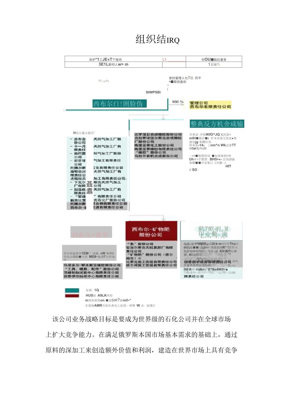 俄罗斯西布尔公司情况介绍_第2页