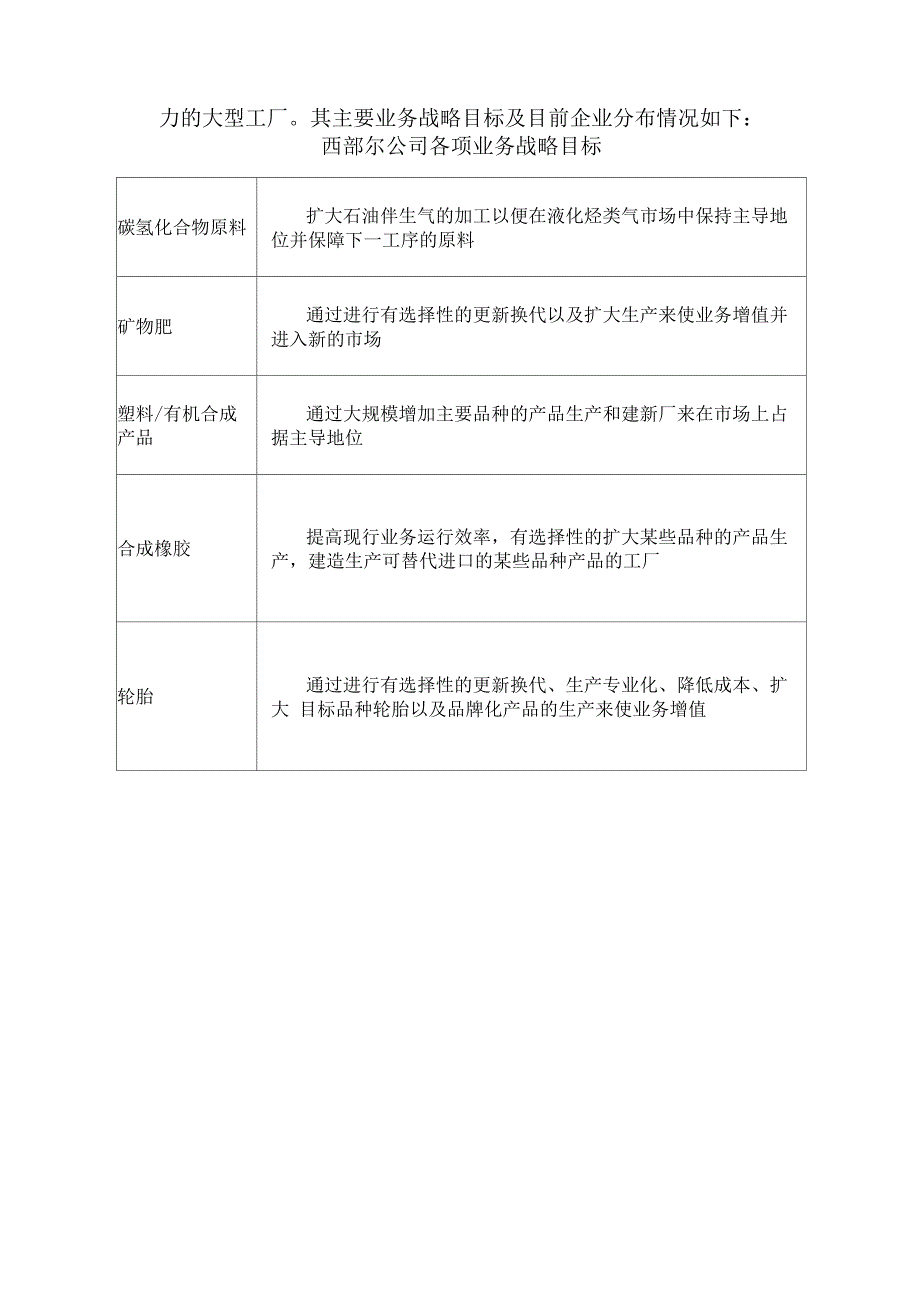 俄罗斯西布尔公司情况介绍_第3页