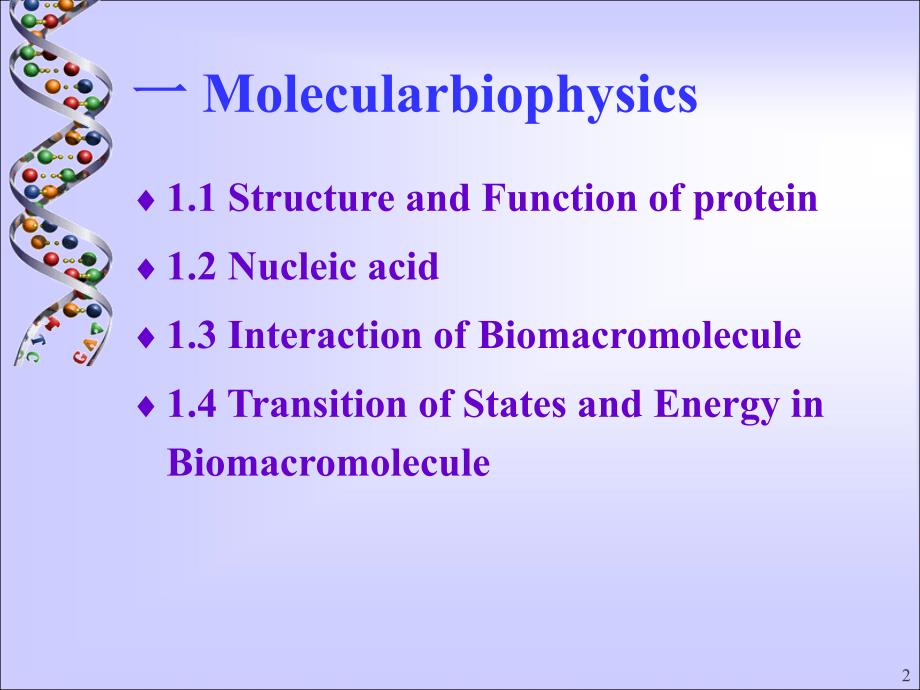 蛋白质的结构和功能2PPT课件_第2页