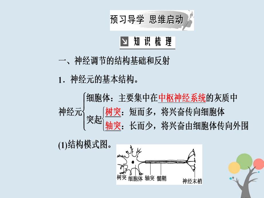 高中生物第二章动物和人体生命活动的调节第1节通过神经系统调节课件新人教版必修_第3页