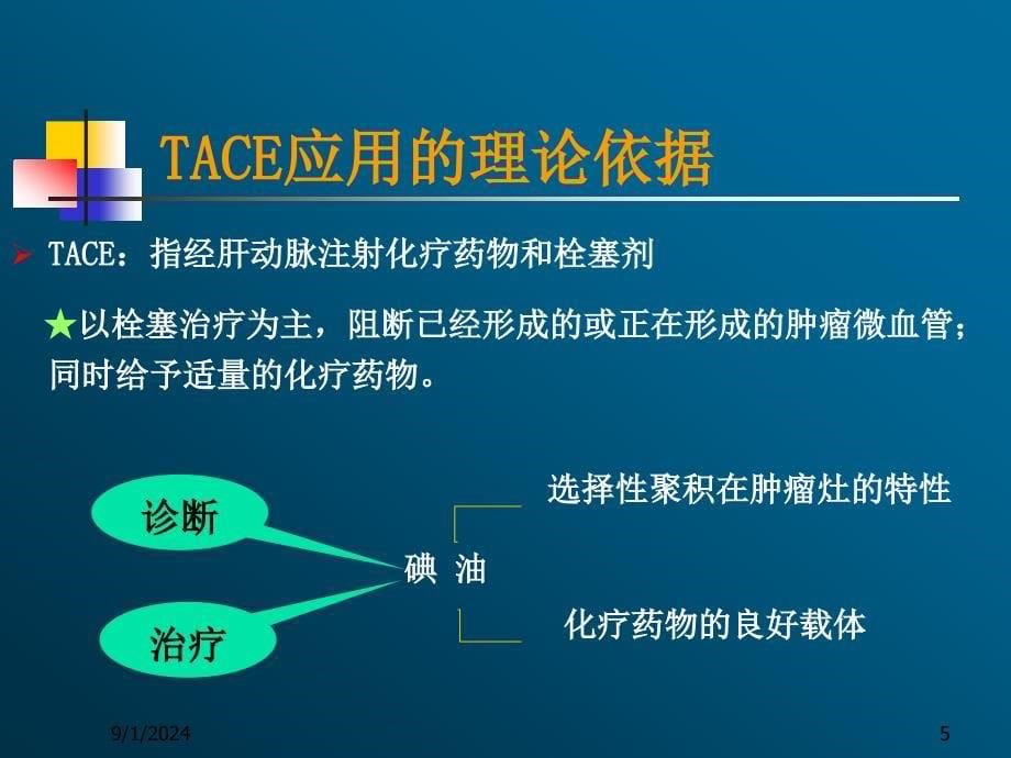 肝癌术后辅助性肝动脉化疗栓塞_第5页