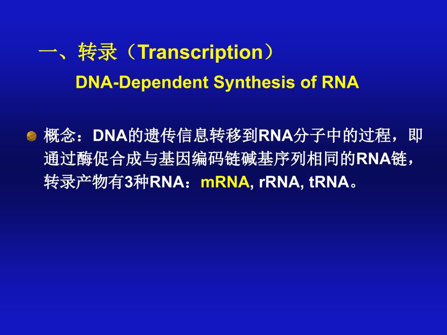 《核酸的生物合成》PPT课件_第2页