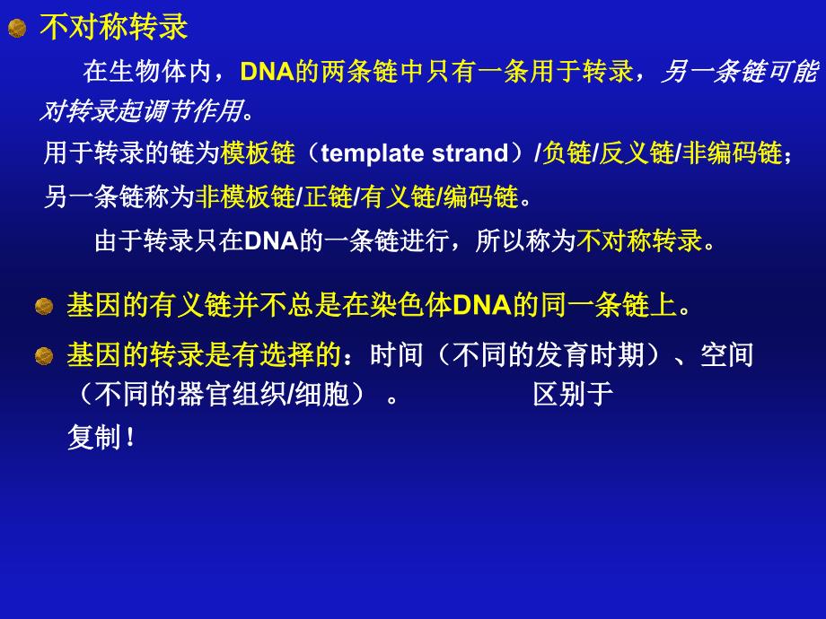 《核酸的生物合成》PPT课件_第3页