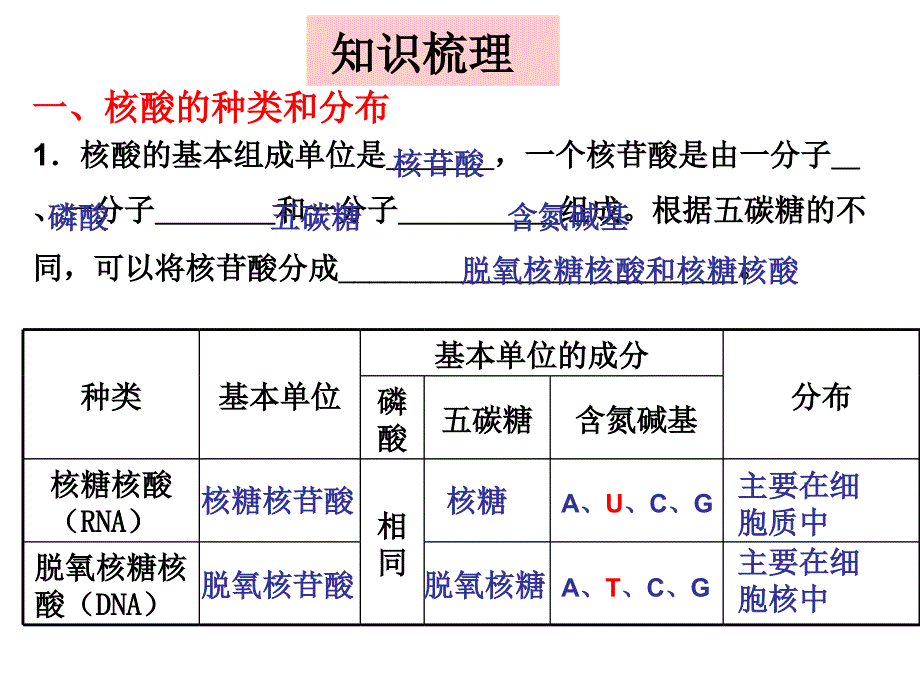 遗传信息的携带者——核酸复习课_第2页