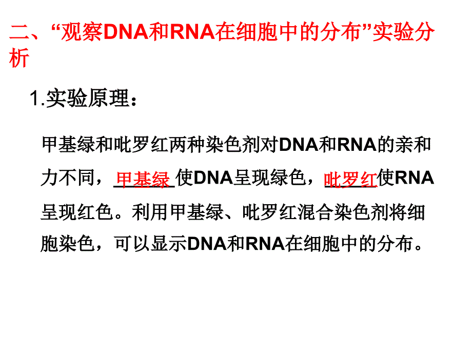 遗传信息的携带者——核酸复习课_第3页