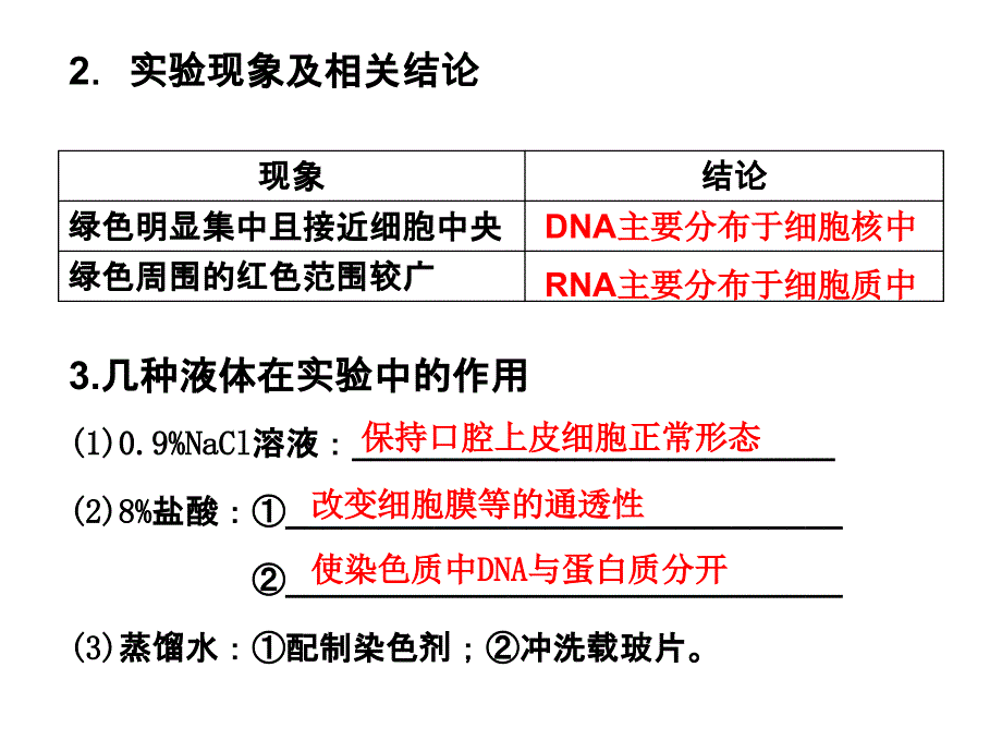 遗传信息的携带者——核酸复习课_第4页