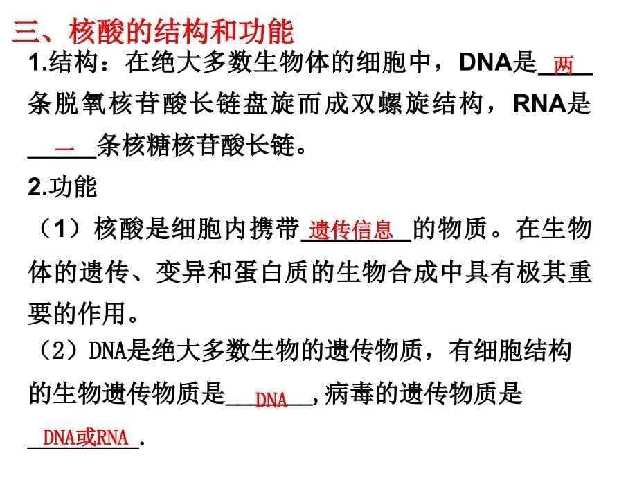 遗传信息的携带者——核酸复习课_第5页