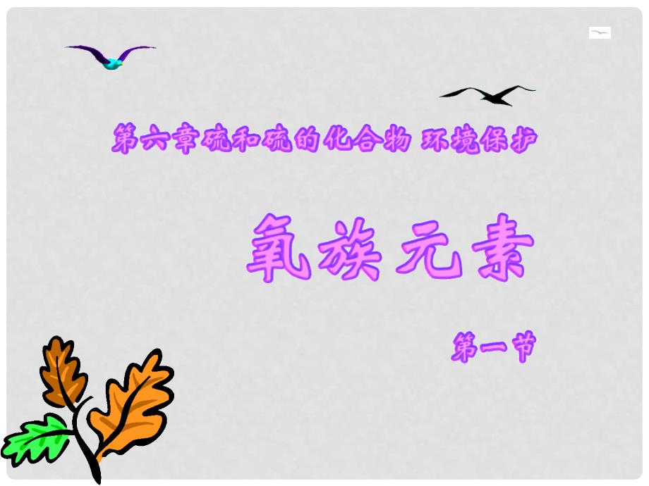 湖南省长沙市望城区第一中学高中化学《氧族元素》课件_第1页