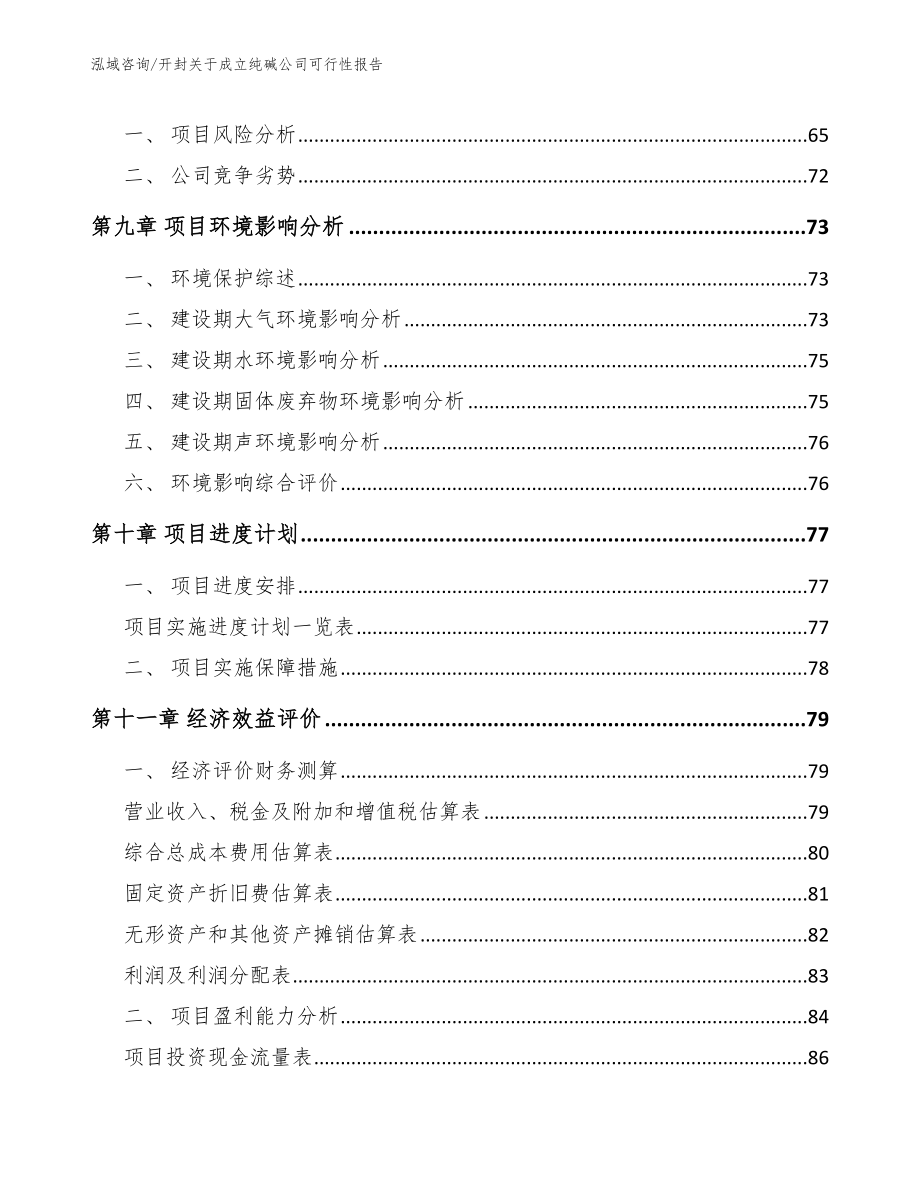 开封关于成立纯碱公司可行性报告_第4页