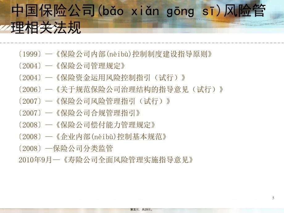 中国保险公司全面风险详解.精讲电子版本_第5页