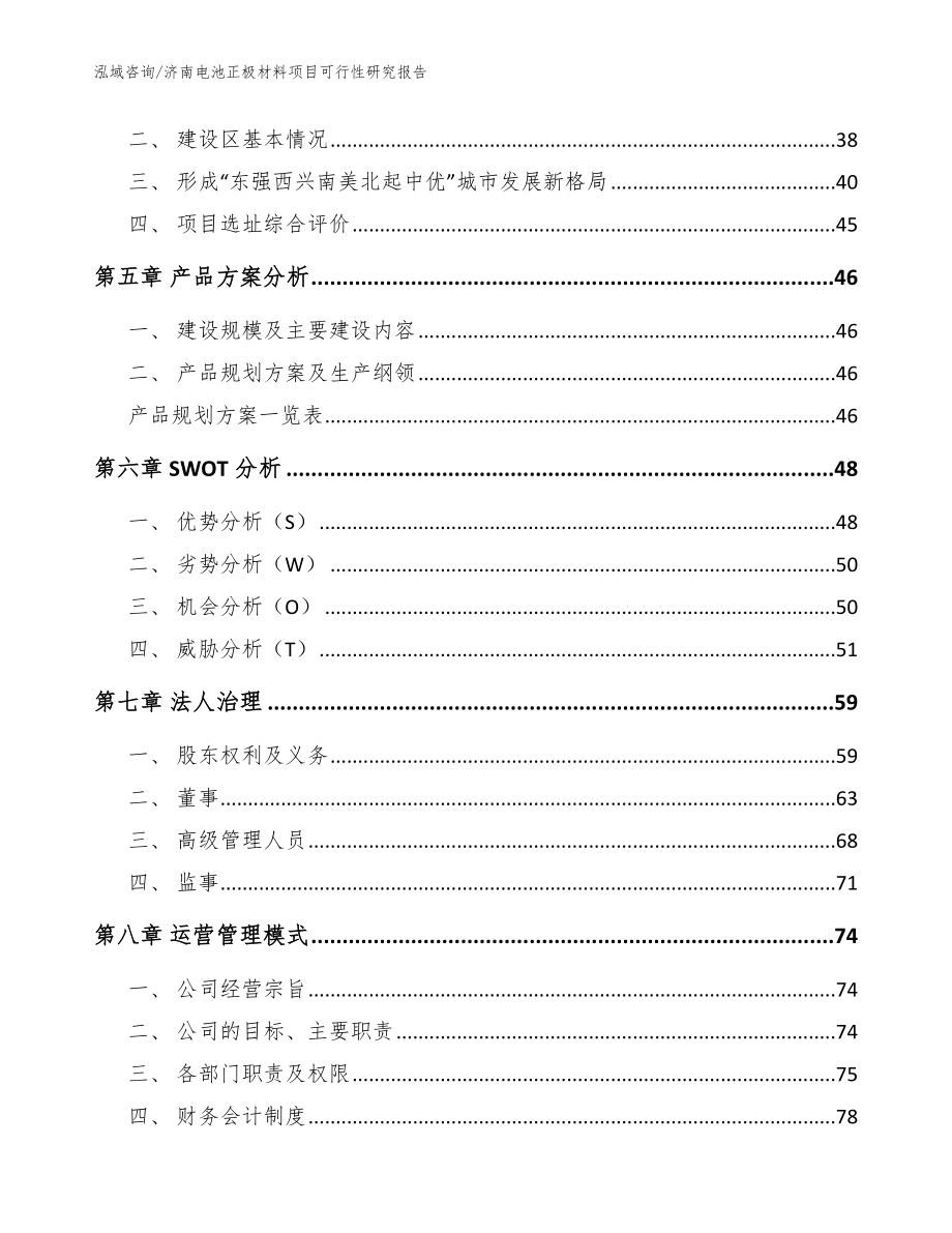 济南电池正极材料项目可行性研究报告模板范本_第2页