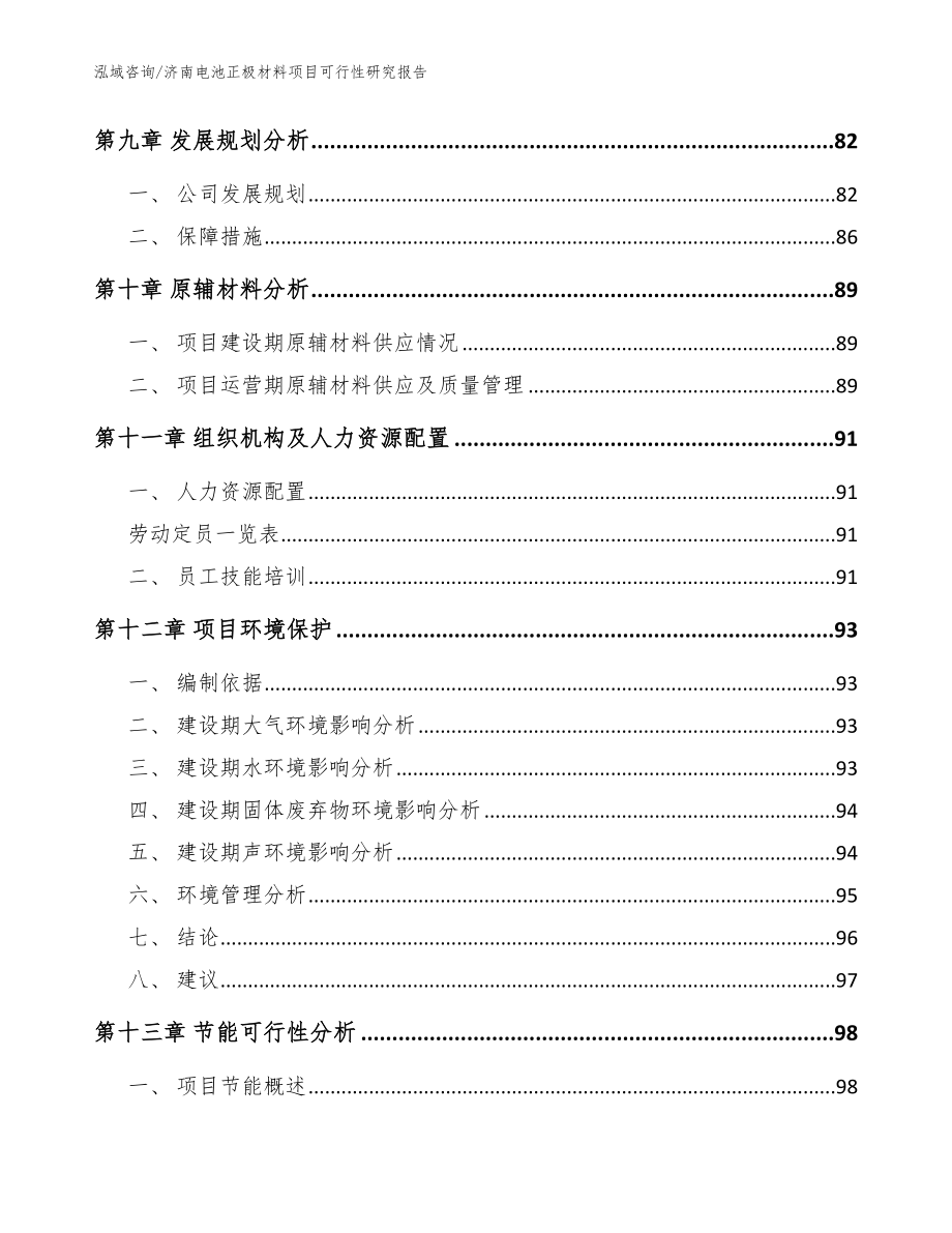 济南电池正极材料项目可行性研究报告模板范本_第3页