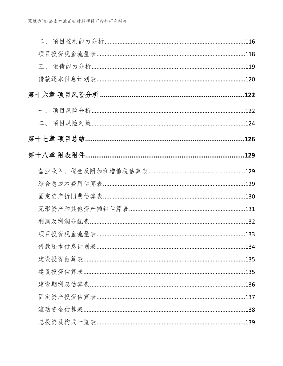 济南电池正极材料项目可行性研究报告模板范本_第5页