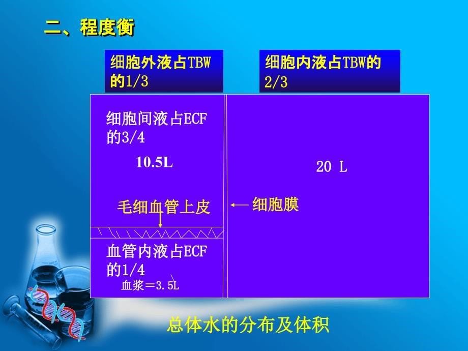 第八部分体液平衡与酸碱平衡紊乱ppt课件_第5页