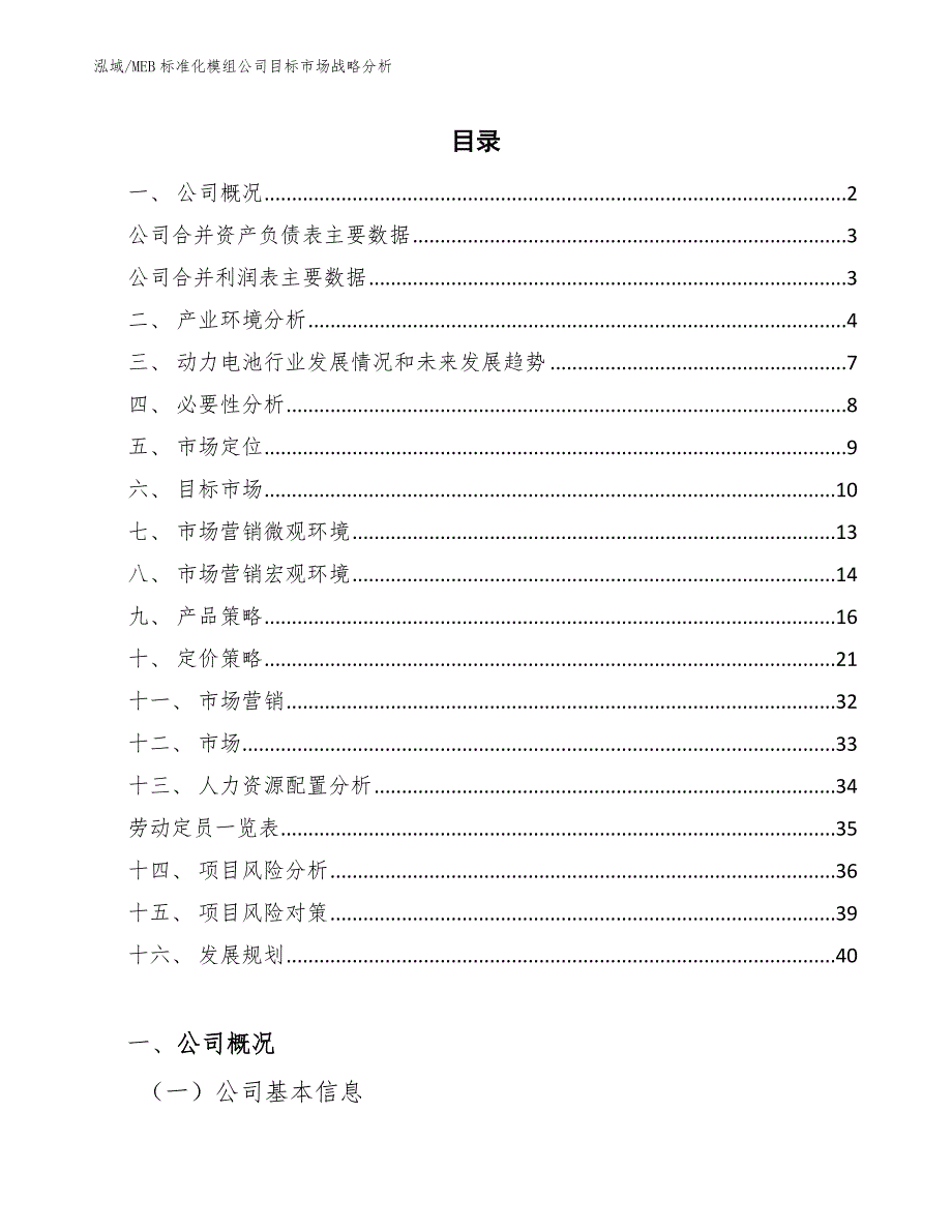 MEB标准化模组公司目标市场战略分析_第2页