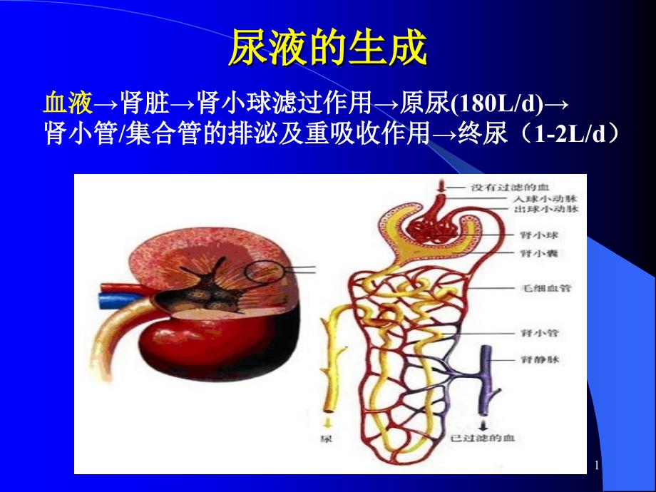 实验诊断排泄物_第1页