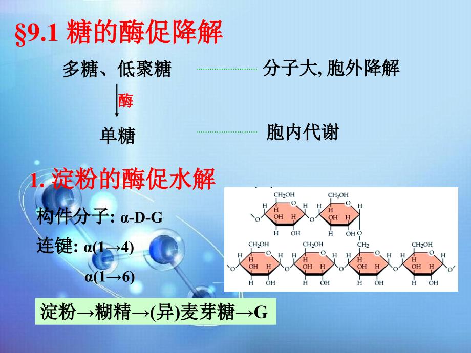 医学2012生化-9-糖代谢_第3页