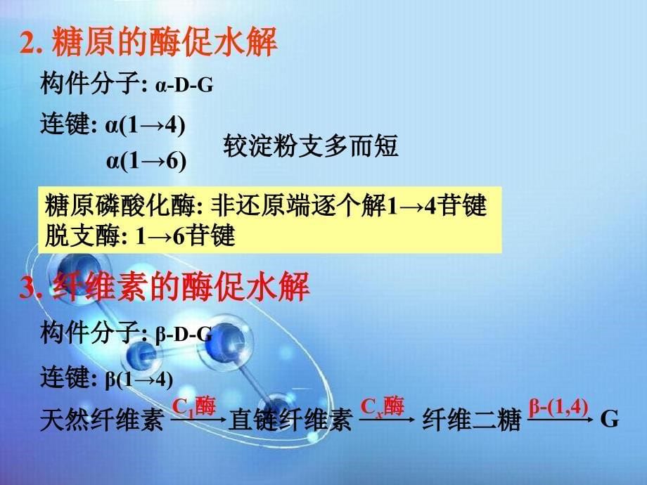 医学2012生化-9-糖代谢_第5页