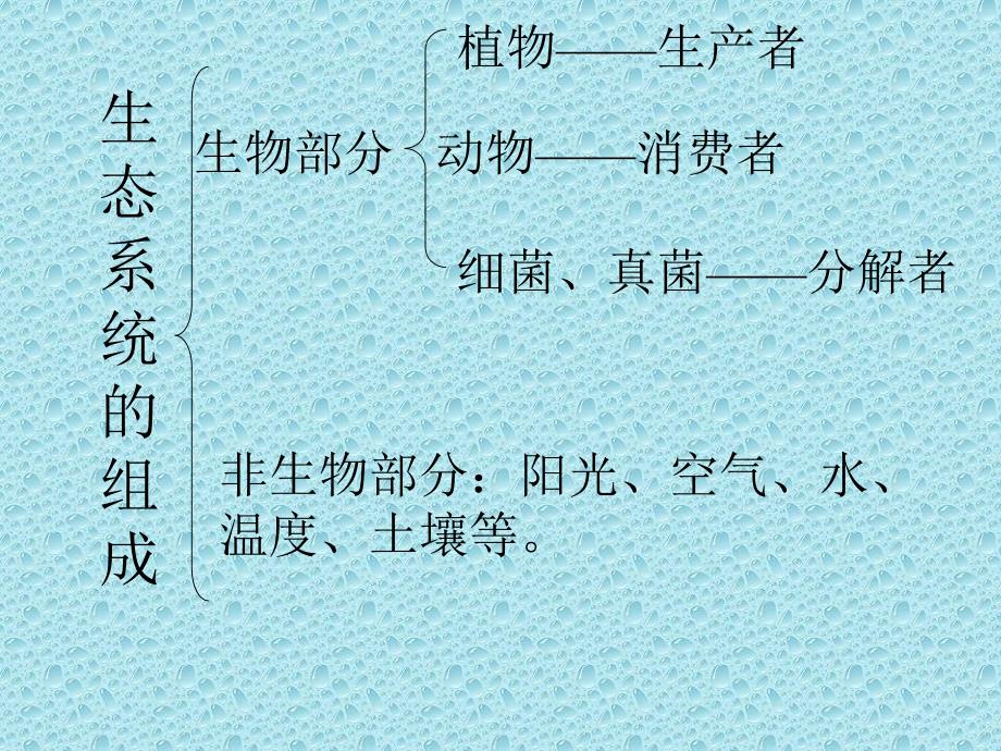 医学课件第二节生物与环境组成的生态系统_第4页