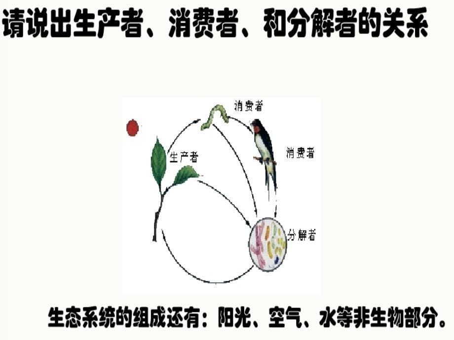 医学课件第二节生物与环境组成的生态系统_第5页