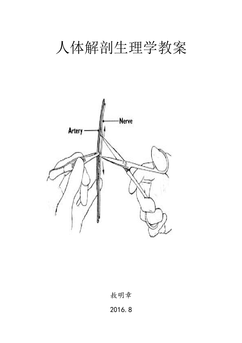 人体解剖生理学教案_第1页