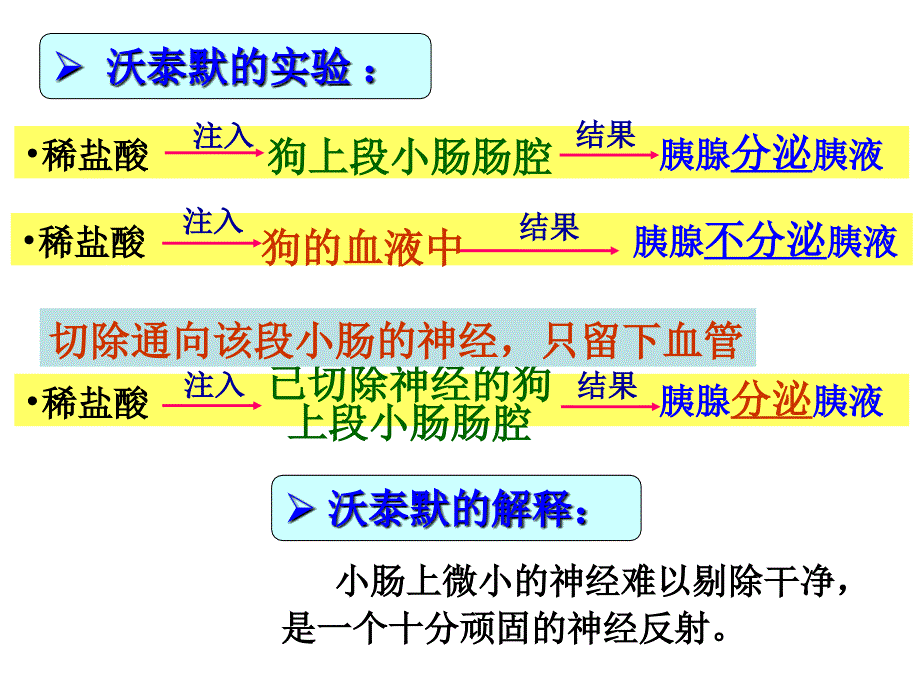 LXF通过激素的调节_第4页