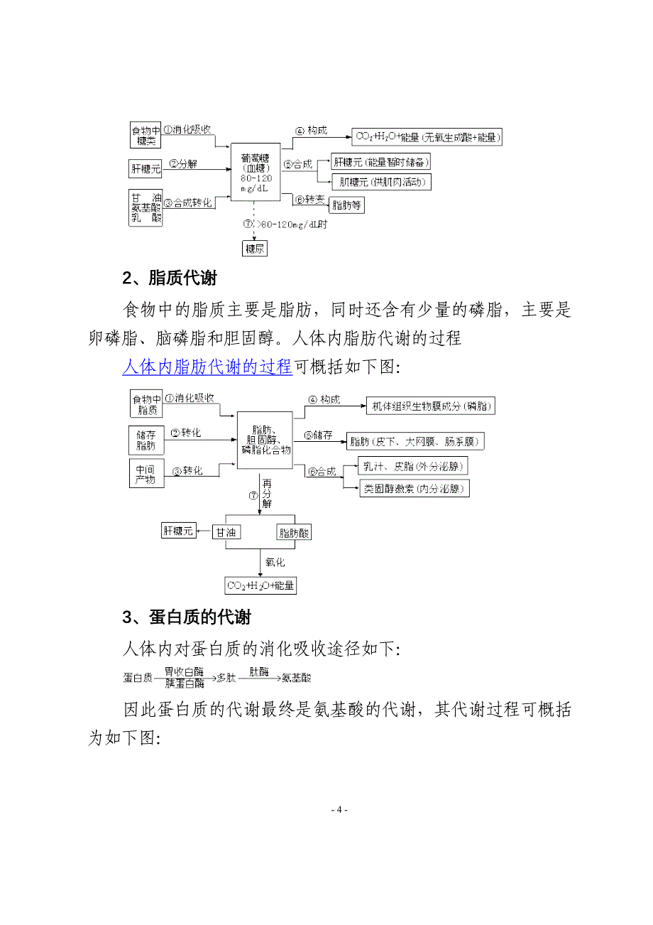 人体三大营养物质的代谢与健康.doc_第4页