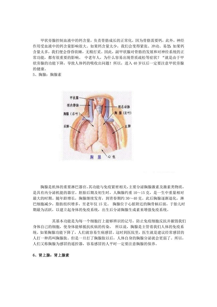人体八大腺体分泌的荷尔蒙_第4页