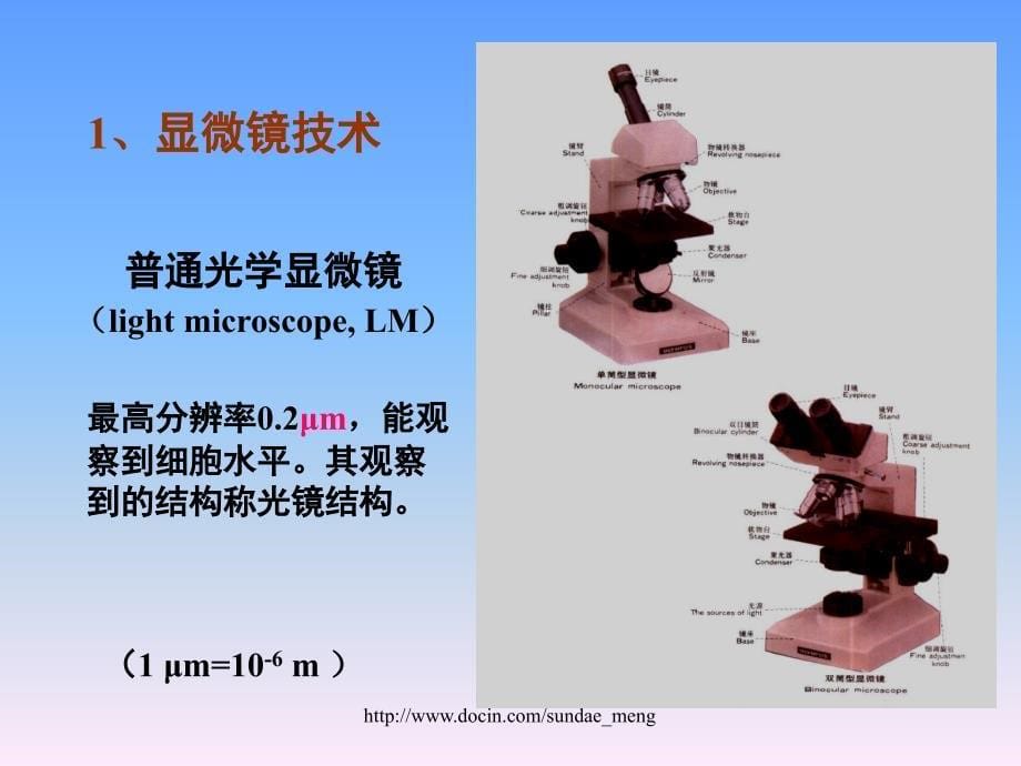 【大学课件】组织学绪论introduction to histology_第5页