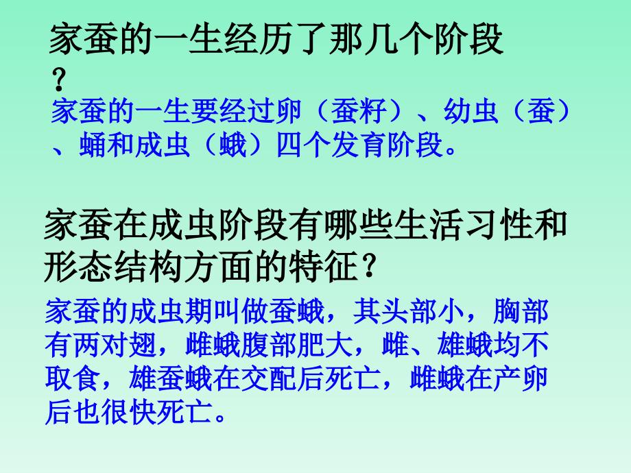 三年级下册科学课件昆虫1湘教版三起共10张PPT_第3页