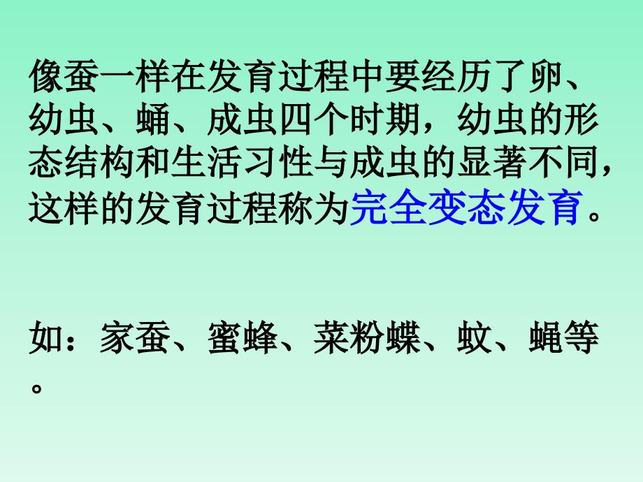 三年级下册科学课件昆虫1湘教版三起共10张PPT_第4页