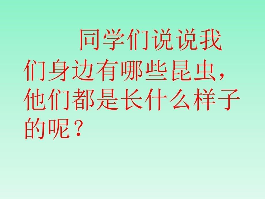 三年级下册科学课件昆虫1湘教版三起共10张PPT_第5页