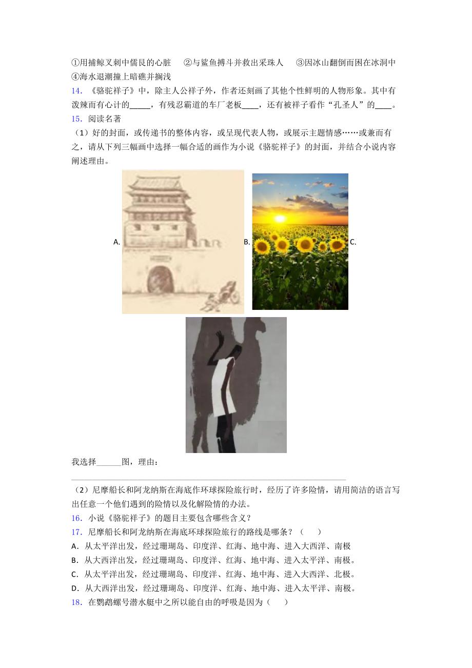 七年级《骆驼祥子海底两万里七年级》名著阅读--6复习资料.doc_第4页