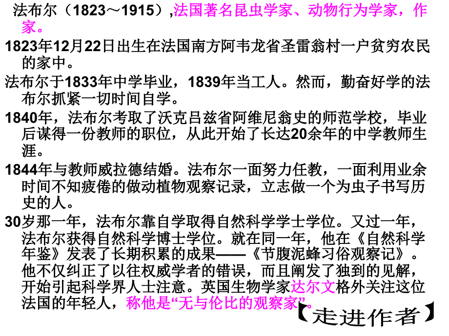 《昆虫记》课件_第4页