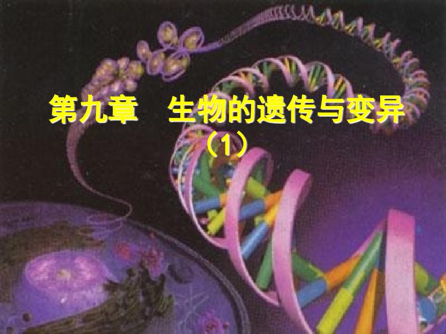 生物的遗传和变异复习_第1页