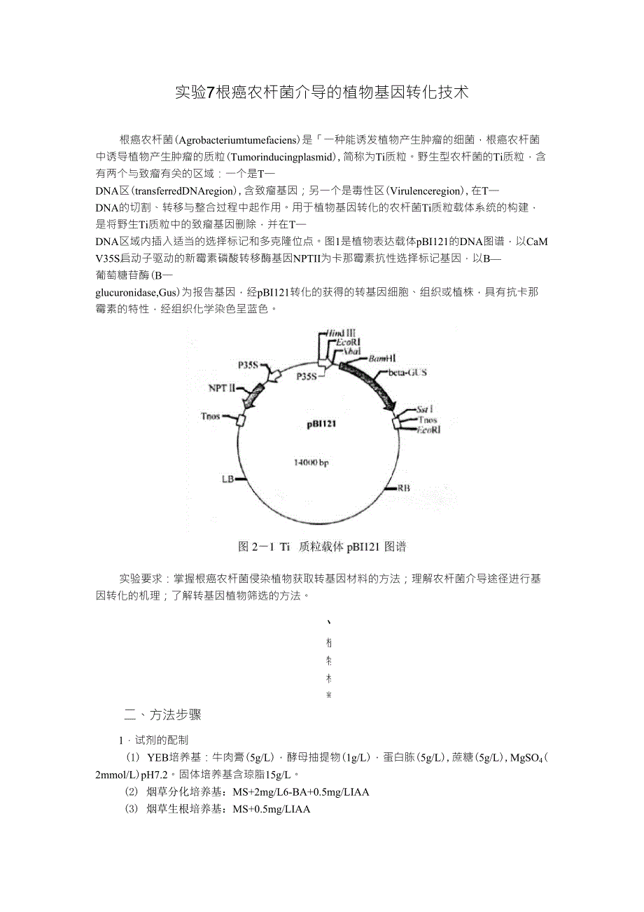 根癌农杆菌介导的植物基因转化技术_第1页