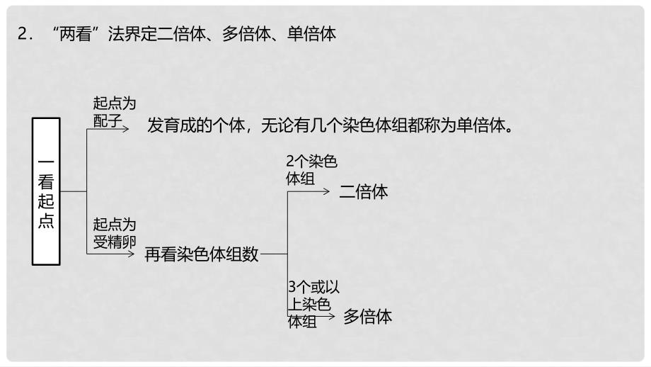 高考生物二轮复习 专题4 遗传、变异和进化 第3讲 变异、育种和进化课件_第3页