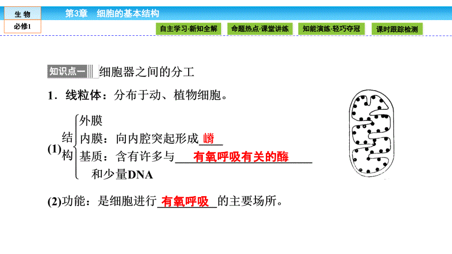 最新：高中生物(人教版)必修1课件：第三章细胞的基本结构3.2.1文档资料_第2页