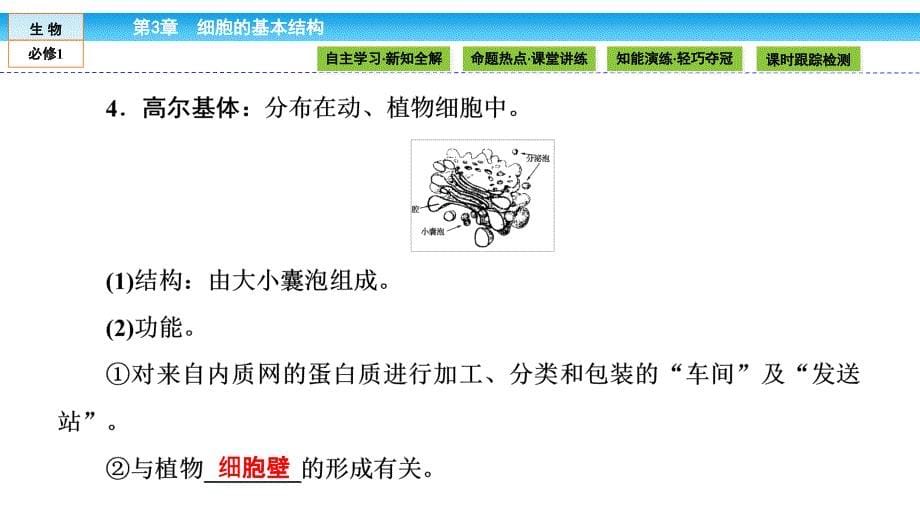 最新：高中生物(人教版)必修1课件：第三章细胞的基本结构3.2.1文档资料_第5页