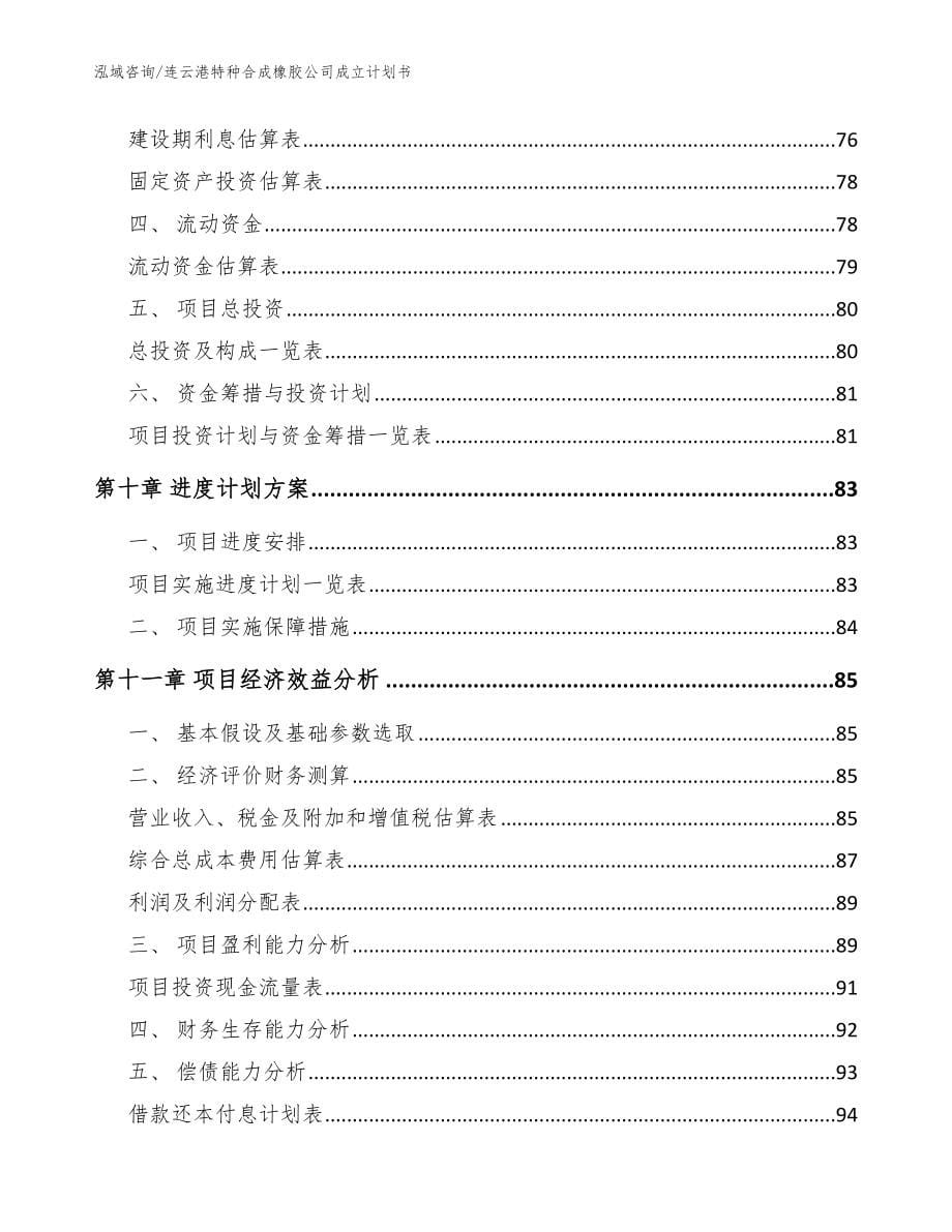 连云港特种合成橡胶公司成立计划书（参考模板）_第5页