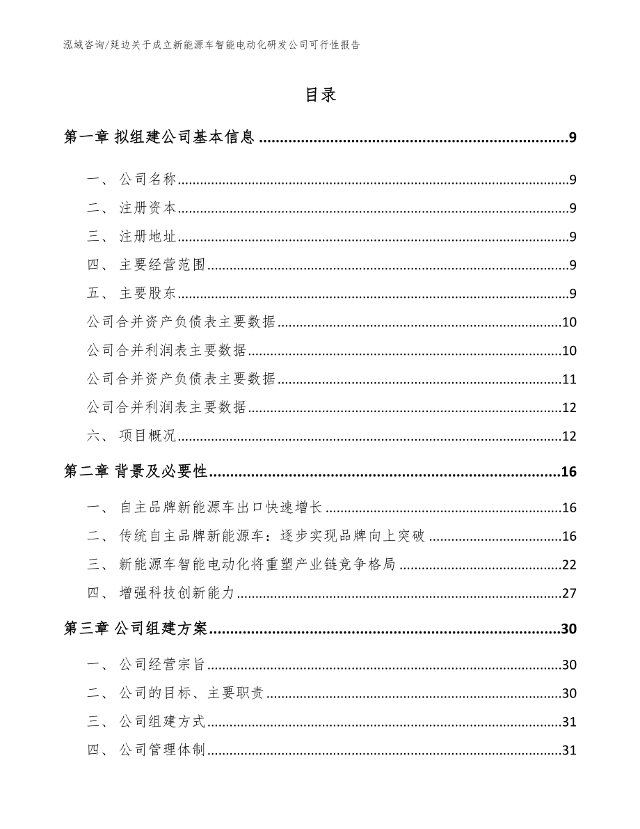 延边关于成立新能源车智能电动化研发公司可行性报告_模板范本_第2页