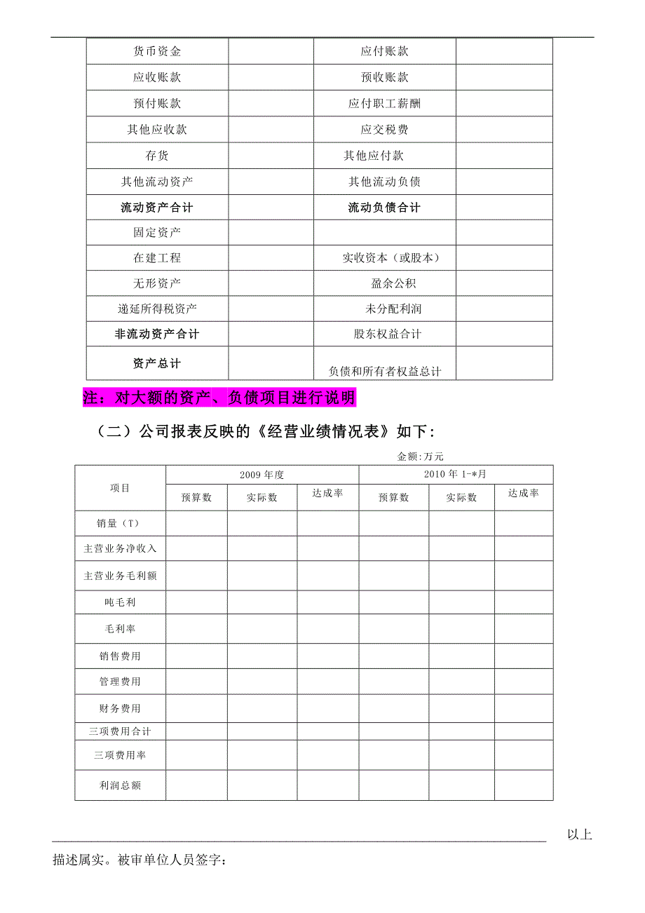 审计报告模板word版_第2页