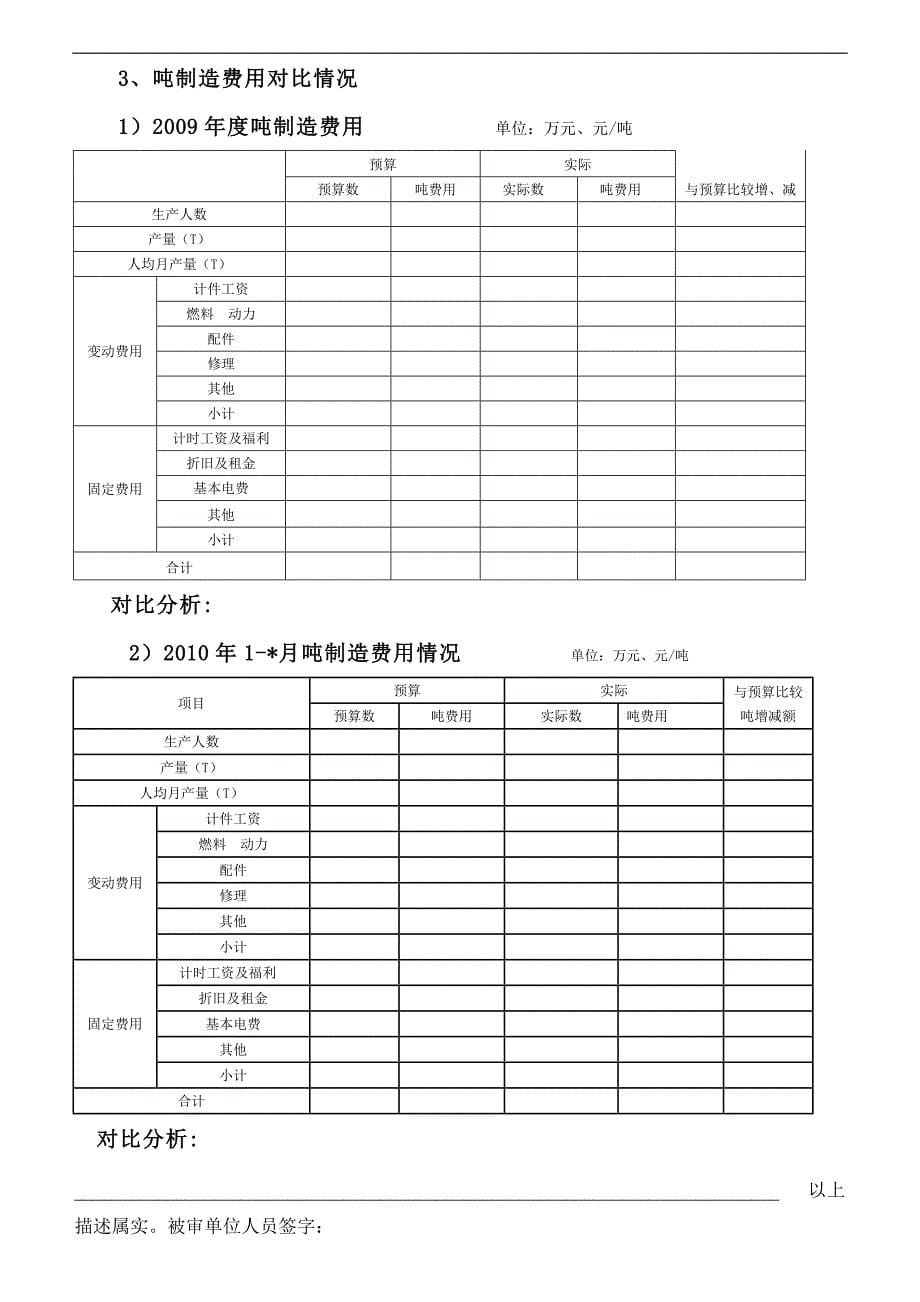 审计报告模板word版_第5页