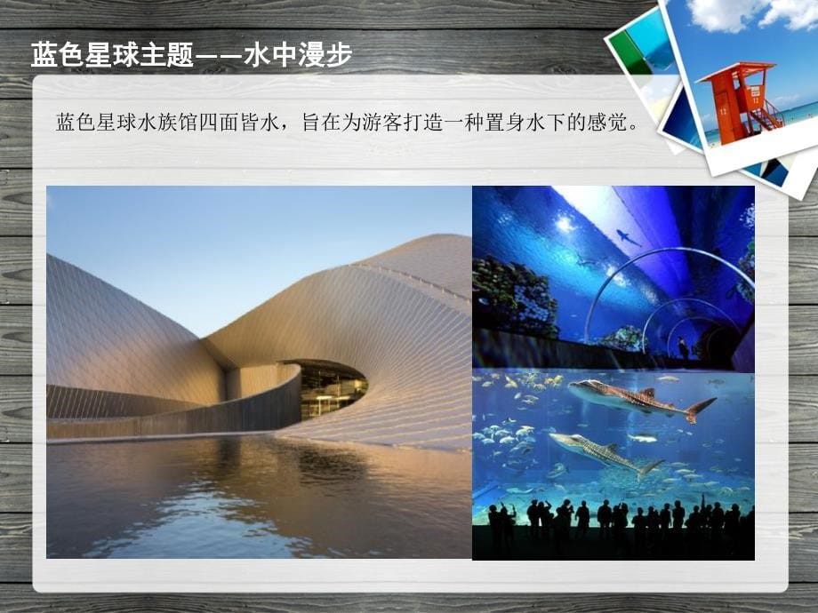 水族馆展示设计分析案例--蓝色星球课件_第5页