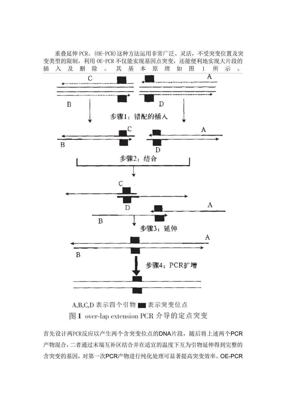 医学分子生物学_第1页