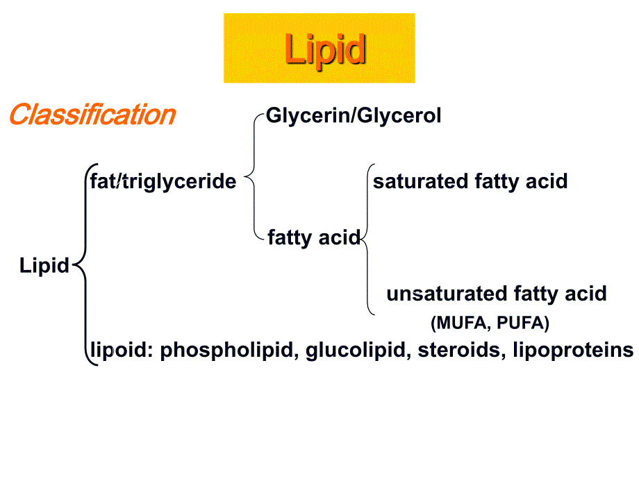 预防医学英文版课件：2-fat,energy,vitamin and minerals_第1页