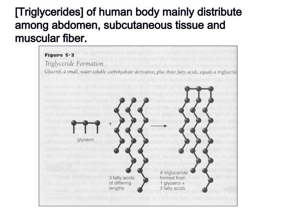 预防医学英文版课件：2-fat,energy,vitamin and minerals_第2页